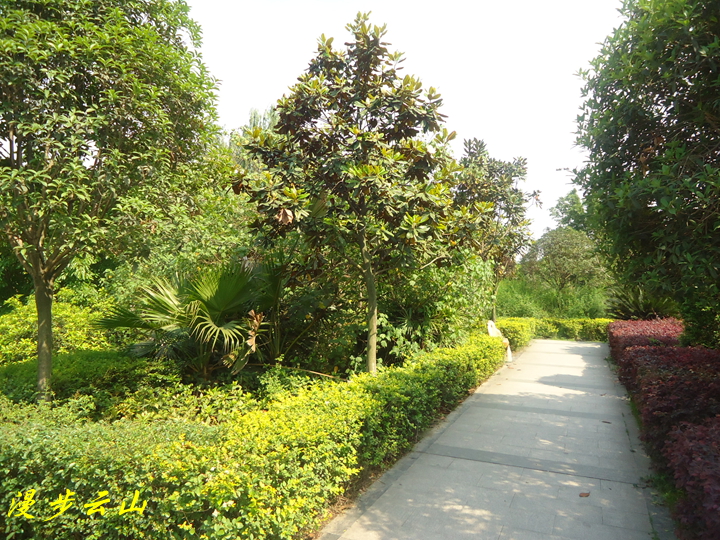 ½07.jpg