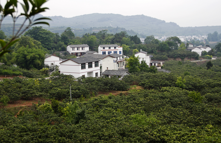 _MG_9431.jpg