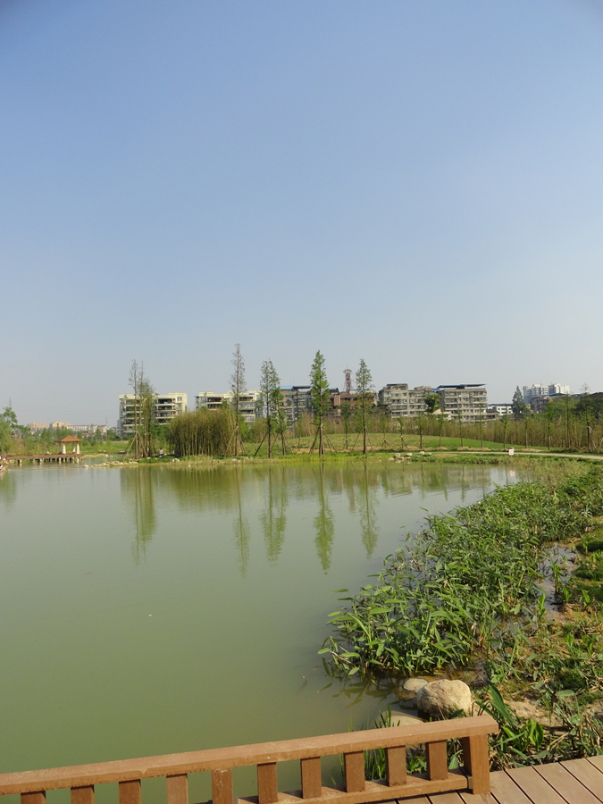 DSC02032_.jpg