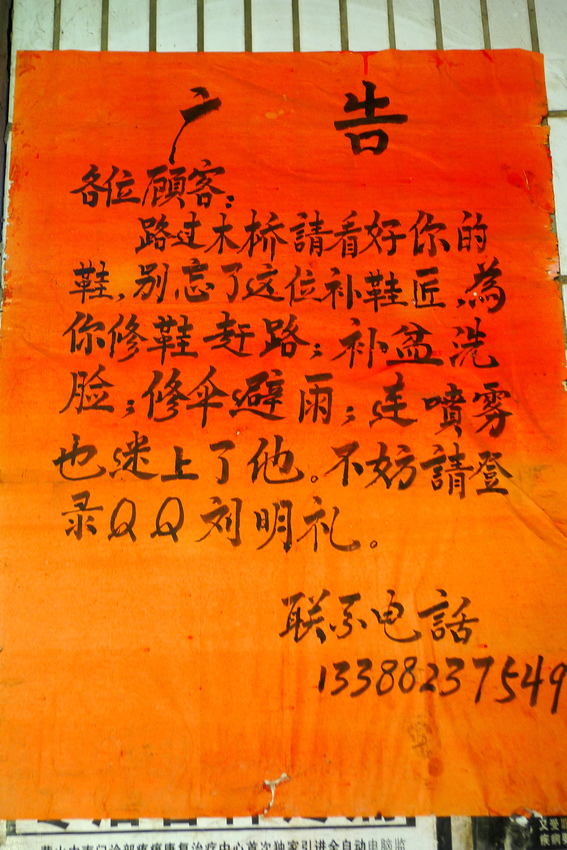P1380799.jpg