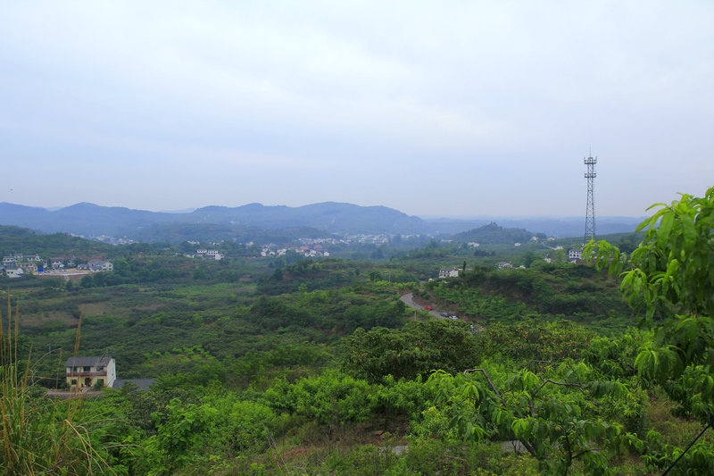 _MG_0002_.JPG