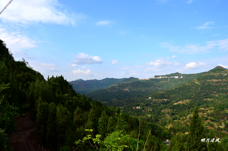 DSC_0005.JPG
