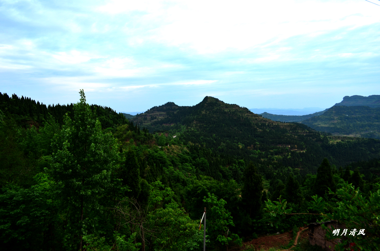 DSC_0017.JPG
