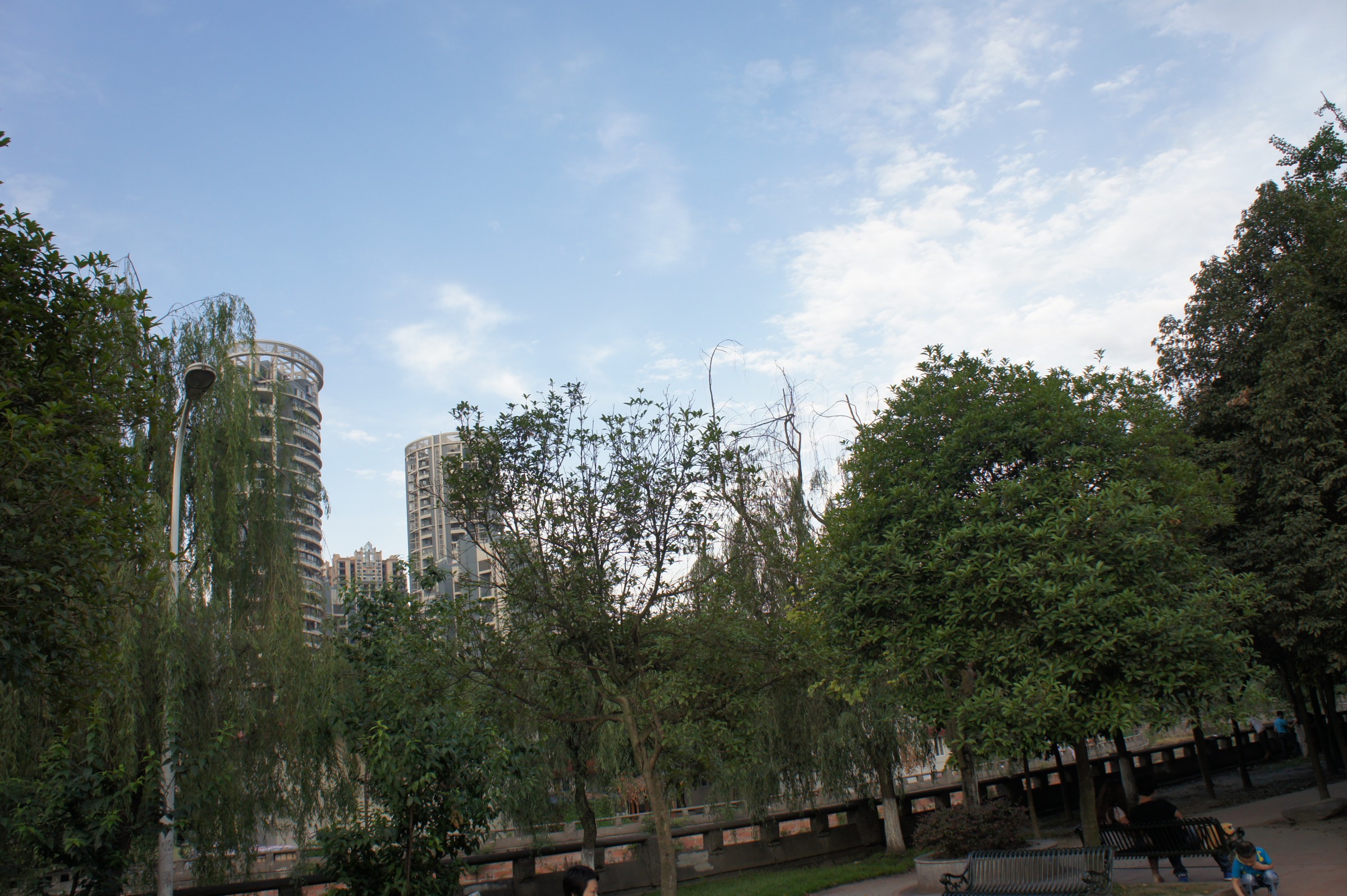 DSC02255.jpg