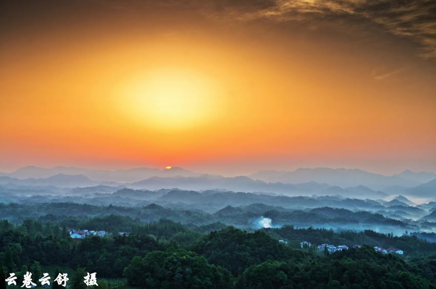 _DSC2390_conew1.jpg