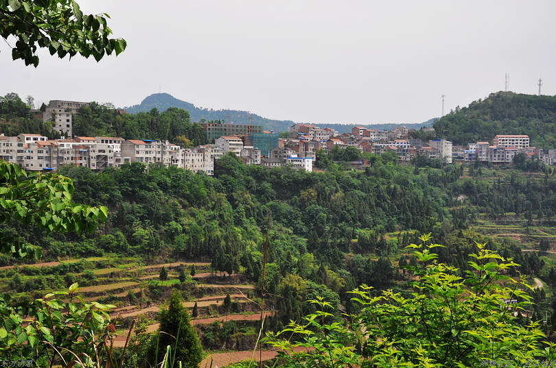 DSC_0817.jpg