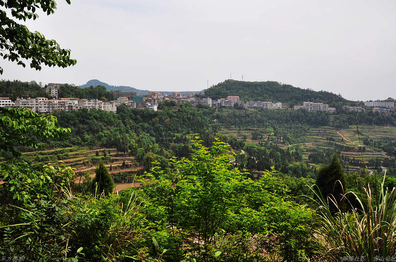 DSC_0816.jpg