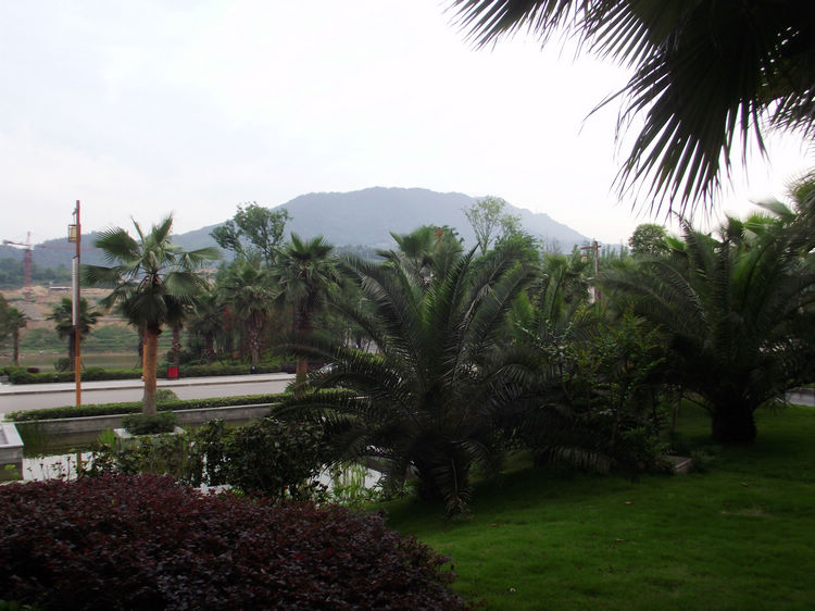 DSCF6156.JPG