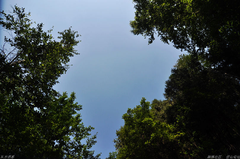 DSC_0841.jpg
