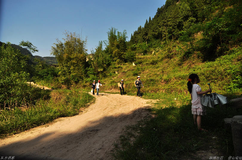 DSC_0847.jpg