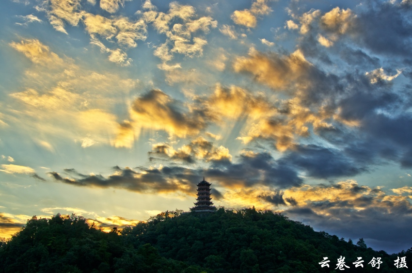 _DSC4880_conew1.jpg