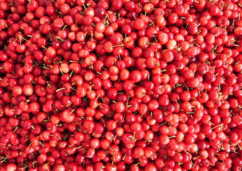 都是车厘子 售价差别为什么这样大呢? 最贵的