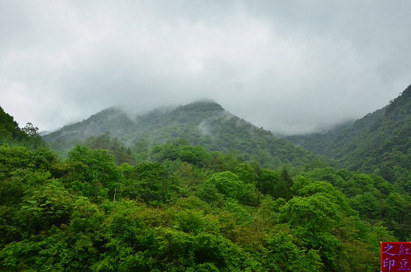 DSC_4252.JPG