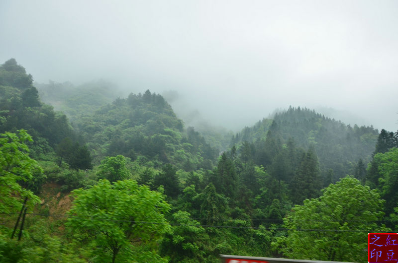 DSC_4225.jpg