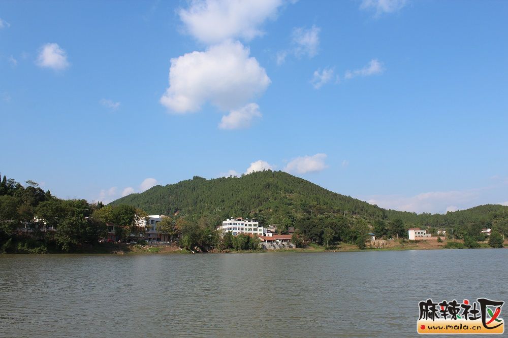 射洪双溪-射洪论坛-麻辣社区 四川第一网络社区 你的言论 影响四川