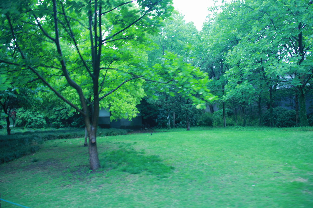 Ƭ 072.JPG