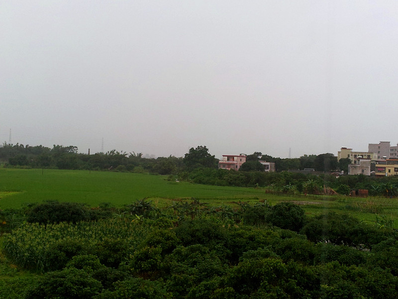 20130522_083356_.jpg