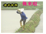 .gif