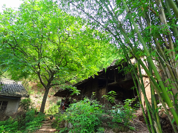 DSC06074_.jpg