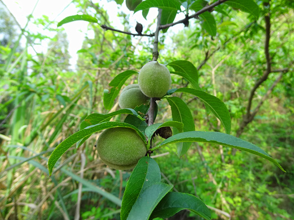 DSC06115_.jpg