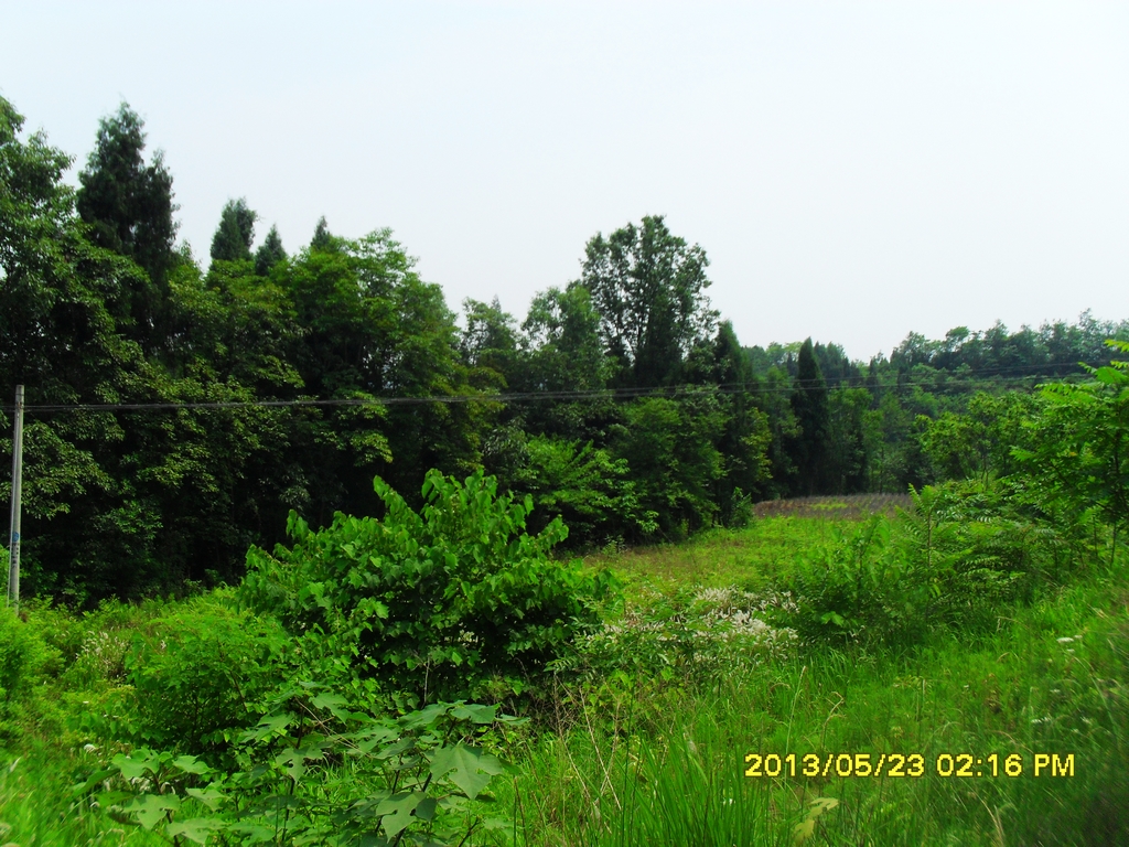 SDC15205.jpg