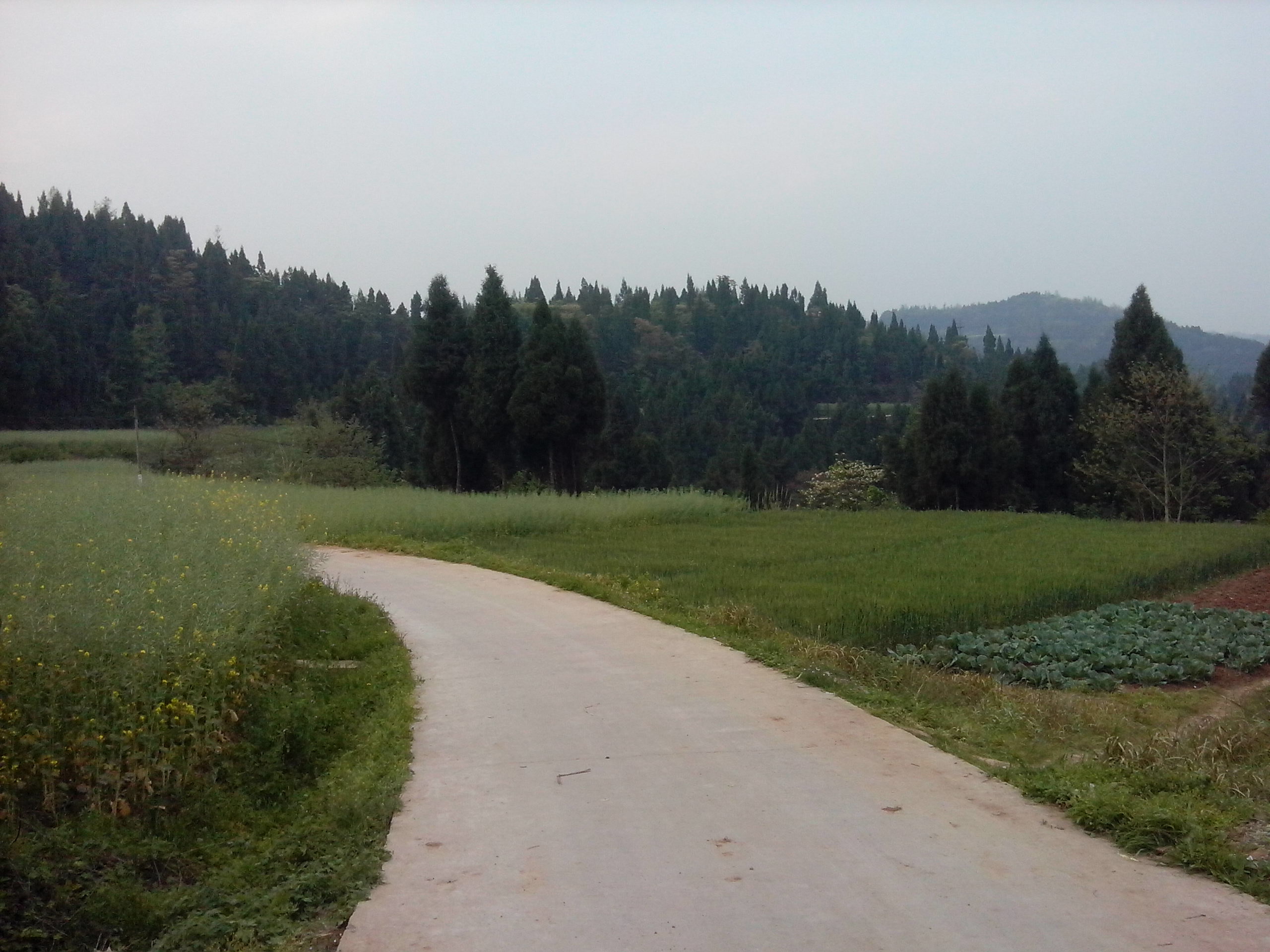 IMG_20130331_181507.jpg