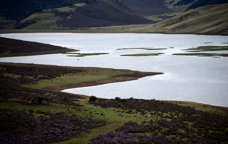 DSC_2734.JPG