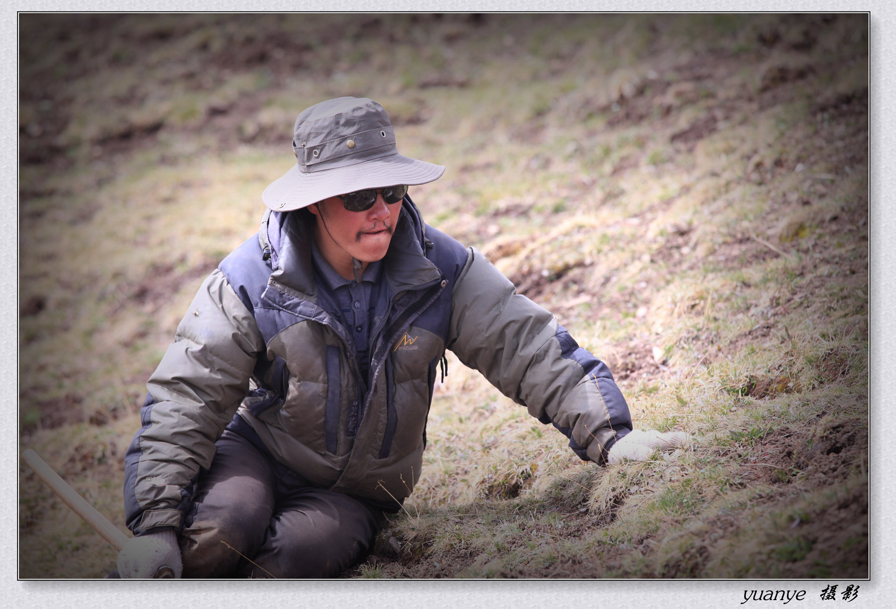 冬虫夏草采挖人