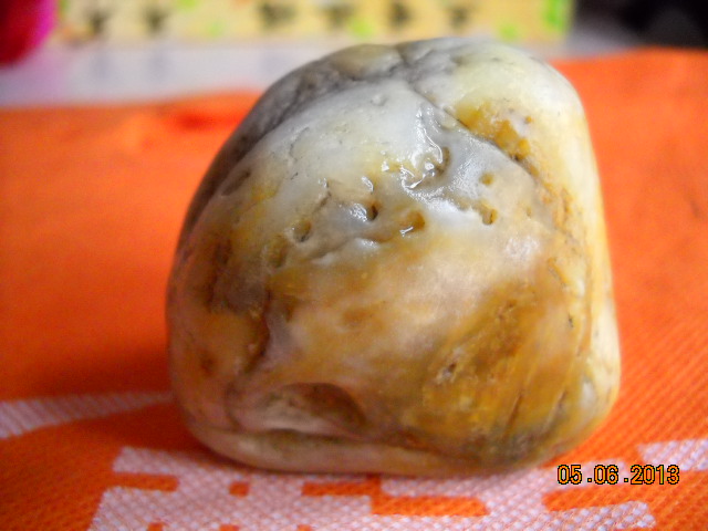 DSCN1912.JPG