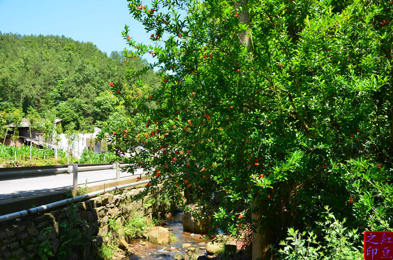2DSC_4643.JPG