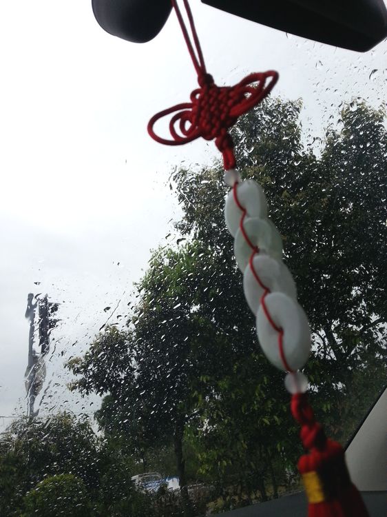 20130601_083553_1.jpg