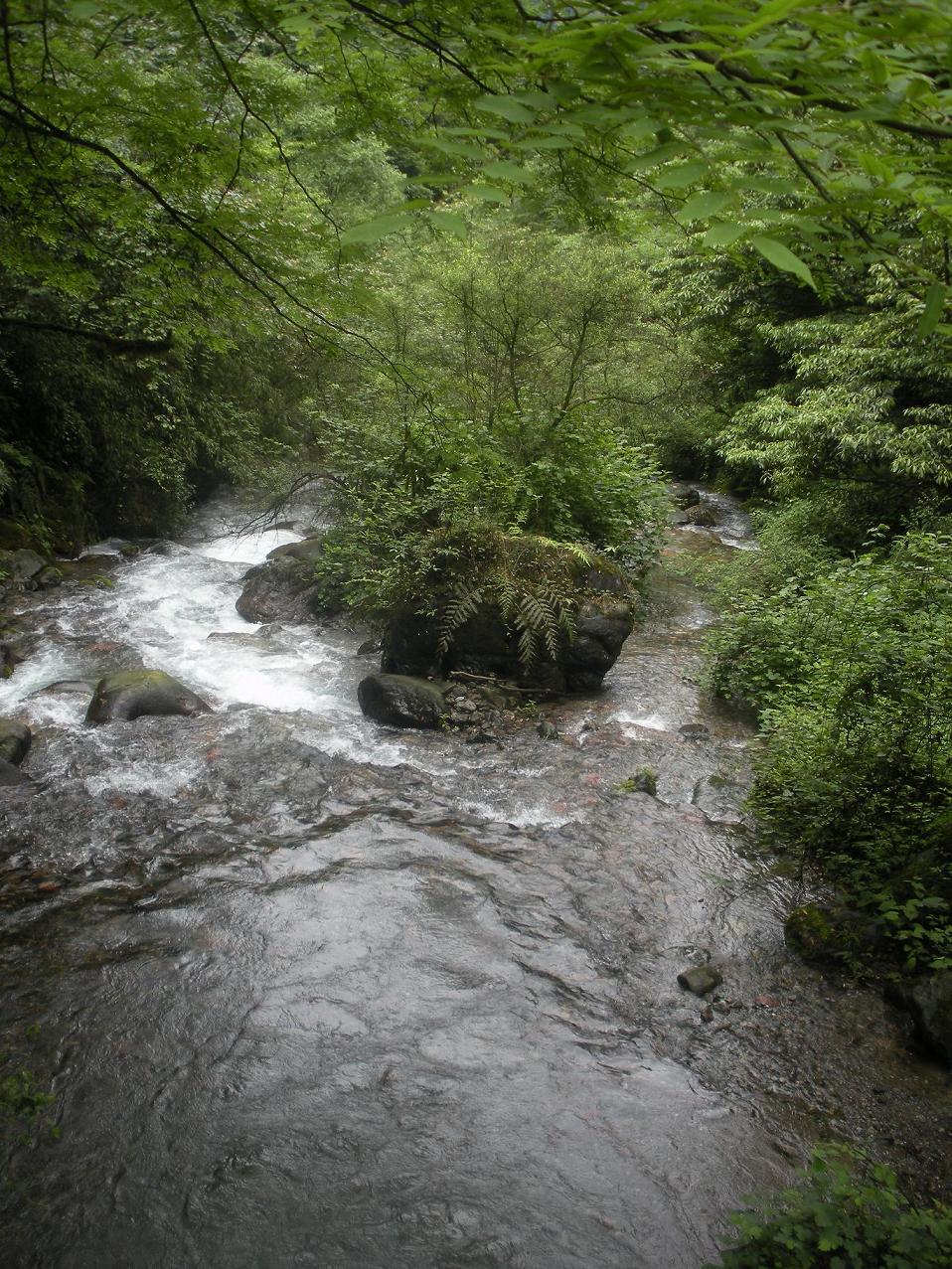 来到蛙潭,一道巨型绿色大青蛙挡住了你的视线,让人惊叹