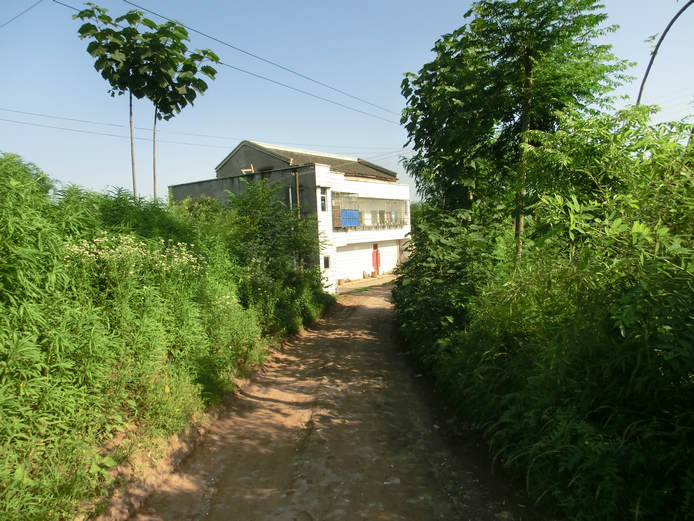 CIMG2904.jpg