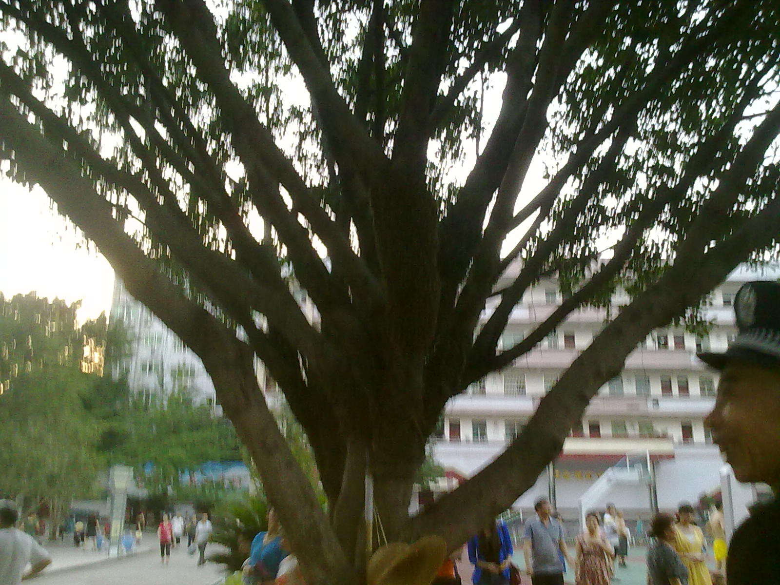 Ƭ 001.jpg