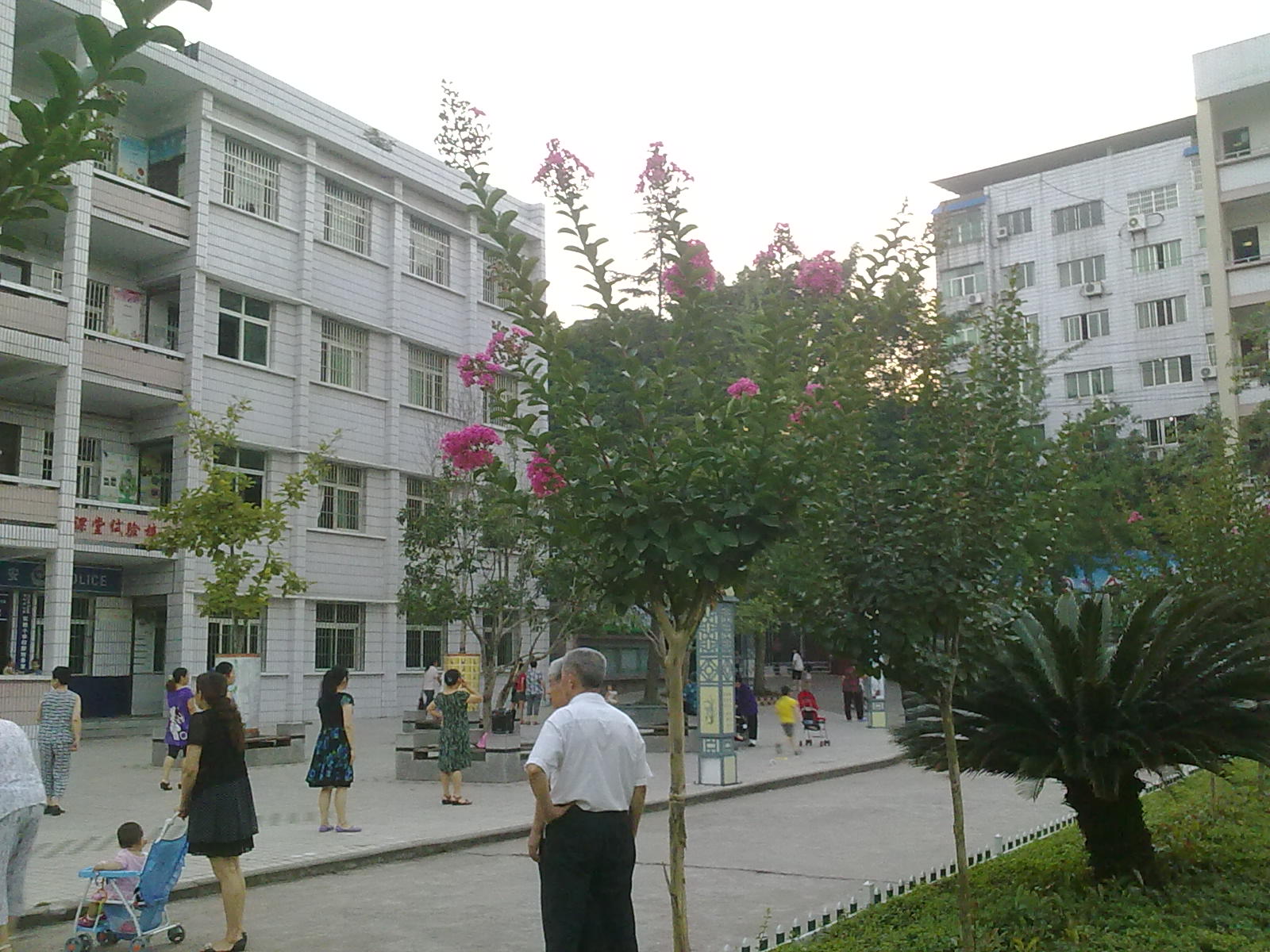 Ƭ 004.jpg