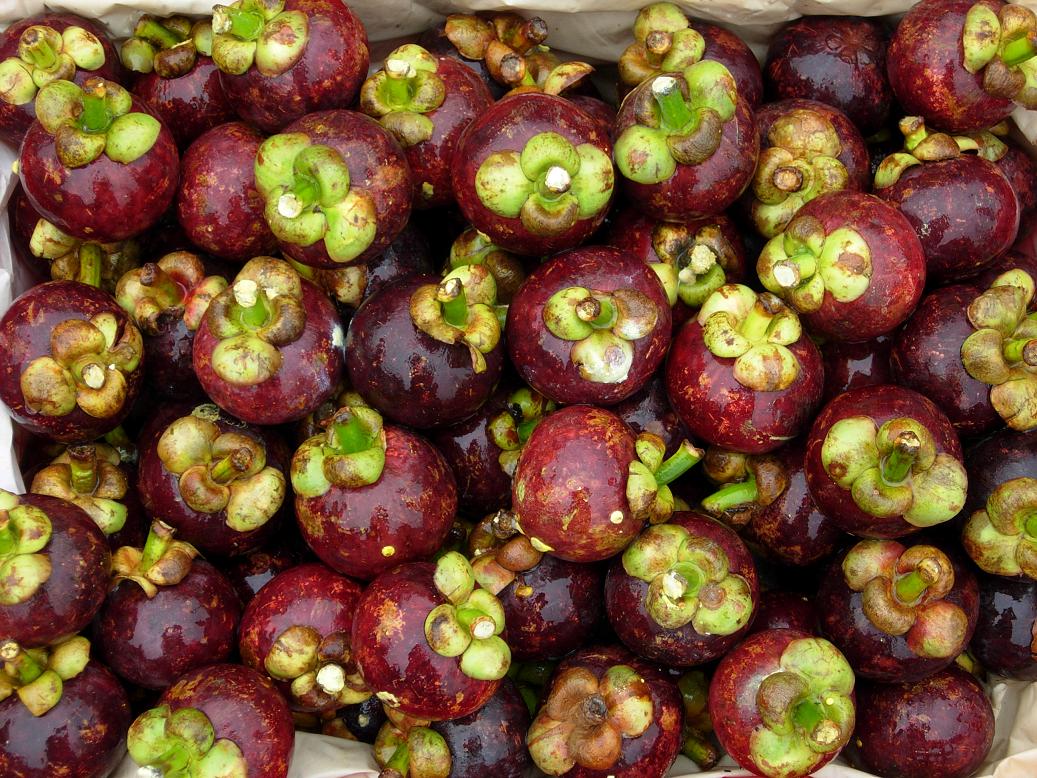 最想了解三亚自助游新攻略