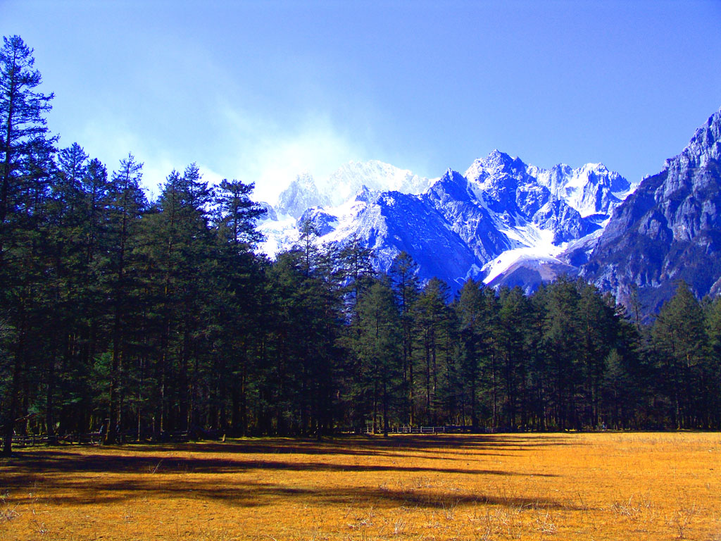 201204250341581774.png