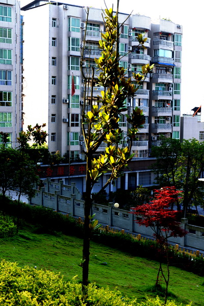 DSC_4045_С.jpg