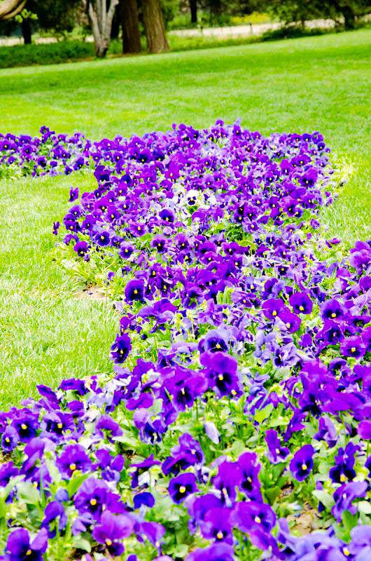 2013-037-2.jpg
