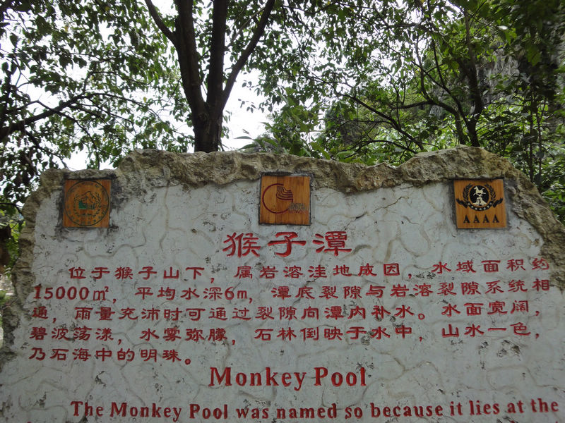 DSC01476.JPG