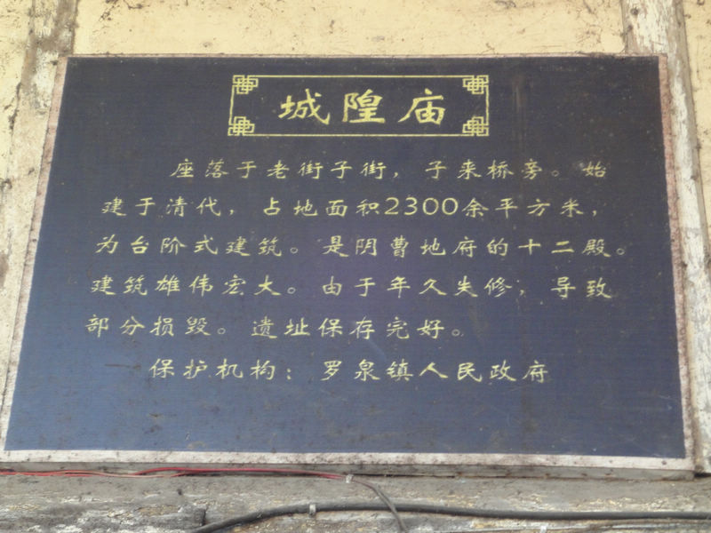 DSC01581.JPG
