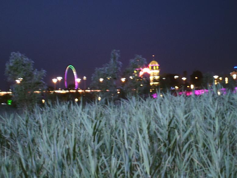 PICT0336.JPG