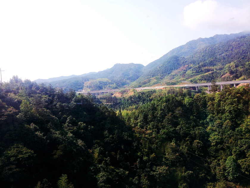 20130523_090108.jpg