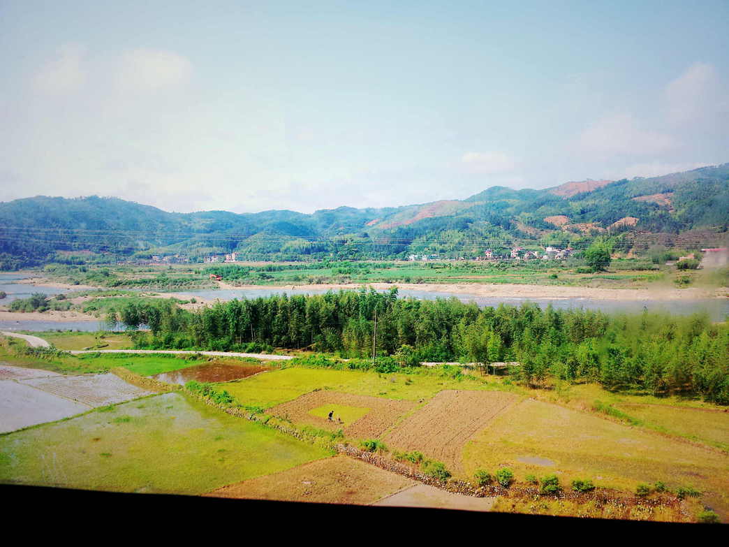 20130523_091001.jpg