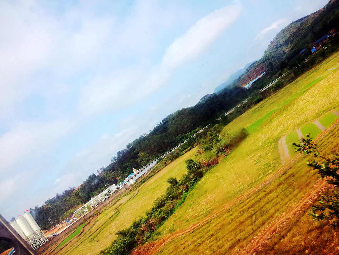 20130523_093236.jpg