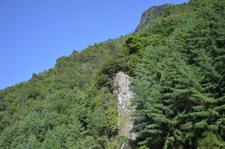 DSC_0252.jpg