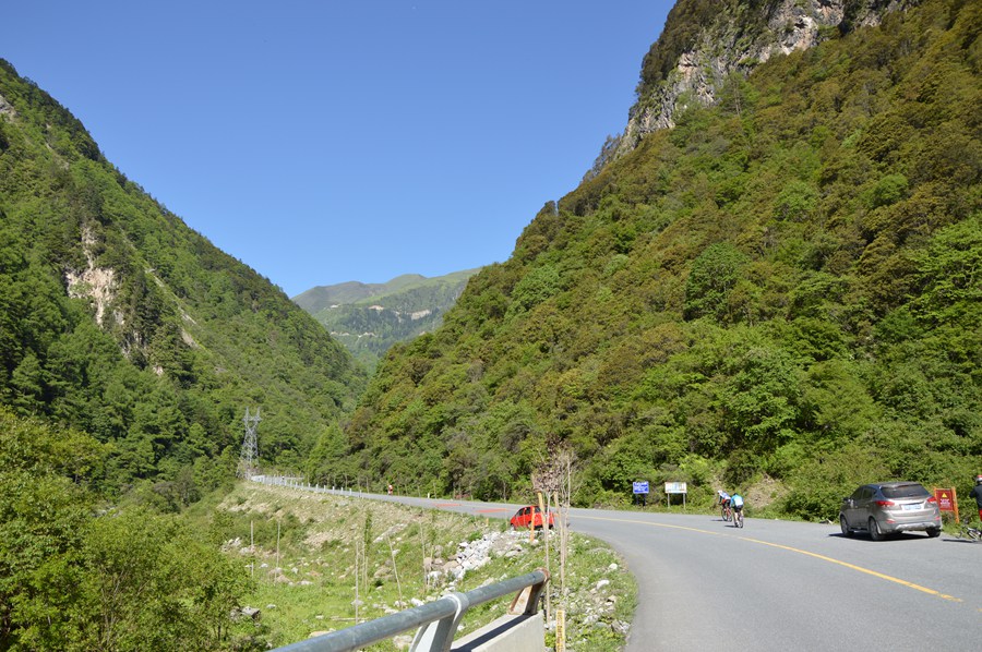 DSC_0330.jpg