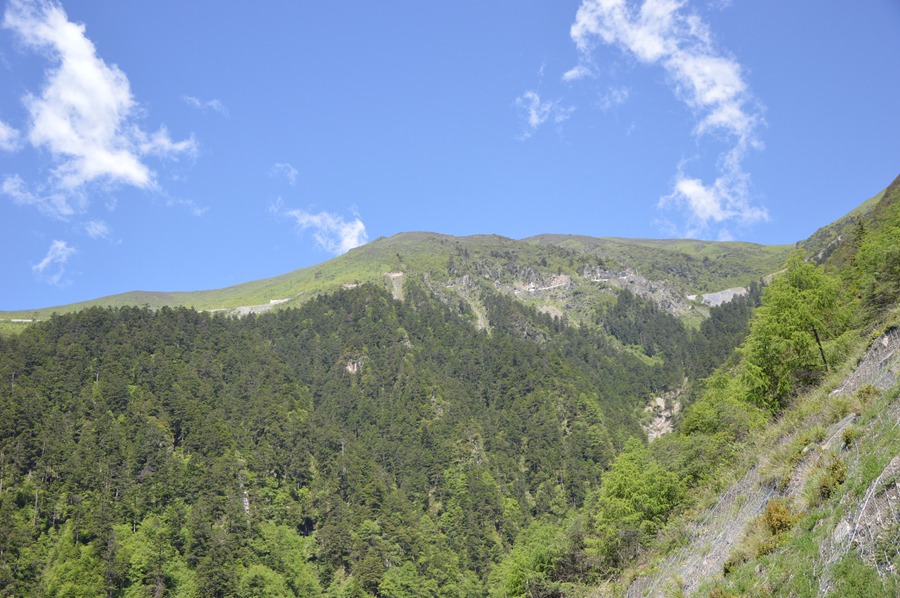 DSC_0514.jpg