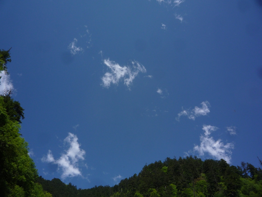 P1160082.jpg