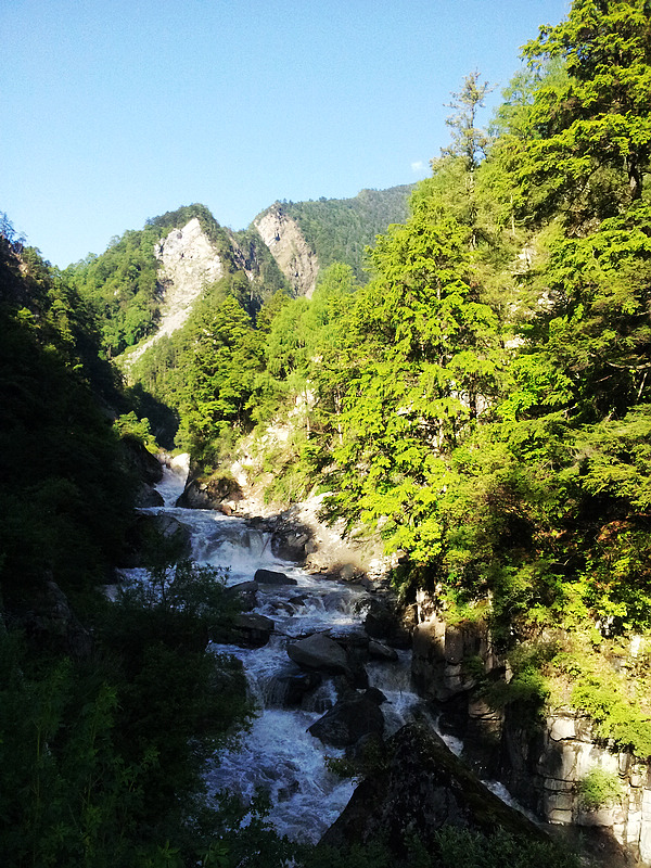 20130611_081434.jpg